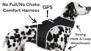 Get Accurate Pet Locations w/ Pet Tracker Realtime Dog Collar GPS Tracker Size:XL