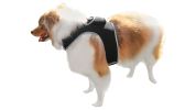 Cost Saver GSM GPS Pet Tracking Device Waterproof Collar Tracker NEW Size:S