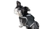 Apps Controlled GSM GPS Pet Tracking System Waterproof Cat Dog Locator Size:M