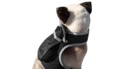 Get Realtime Location Update w/ Pet Tracker GPS Tracking Collars for Dogs Size:XS