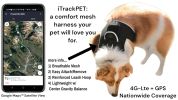 Get Realtime Location Update w/ Pet Tracker GPS Tracking Collars for Dogs Size:XS
