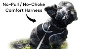 Get Realtime SMS/Live Tracking Data w/ Pet Tracker GPS Dog Collar Tracker Size:XXL