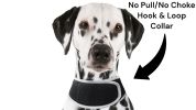 Battery Saver Mini GPRS GSM GPS Collar for Dogs Waterproof Pet Tracker Size:M