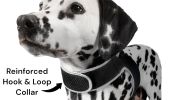 Rechargeable GPS Dog Tracker Realtime Pet Surveillance w/ Easy to Use Phone App Size:L