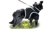 Long Range Surveillance Rechargeable GSM GPRS GPS Tracker Pets System Size:L